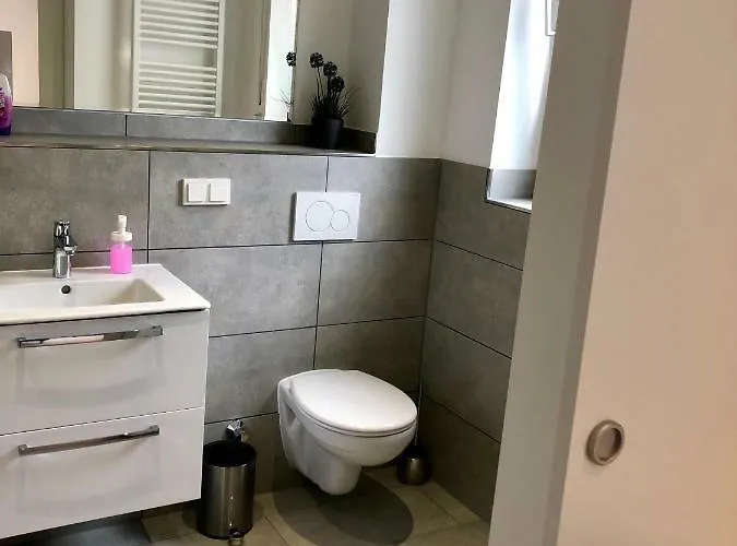 酒店 自由科隆酒店 3*